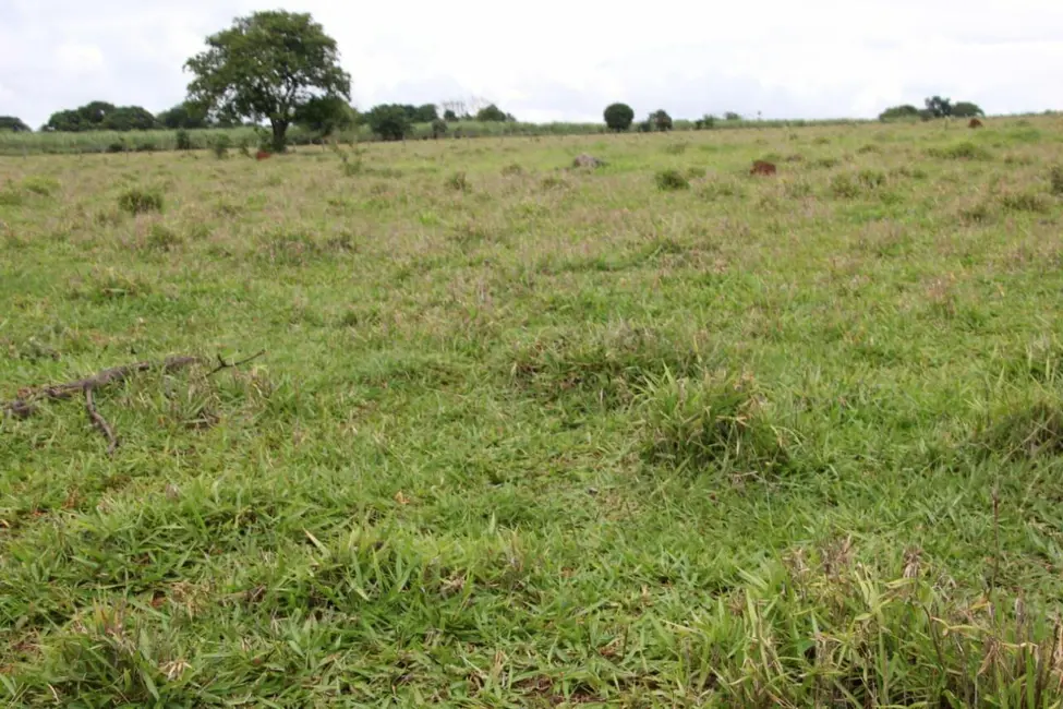 Fazenda / Haras com 2 quartos à venda, 90145m2 em Lagoa Vermelha, Tatui - SP - imagem 8 Foto 8 de Fazenda / Haras com 2 quartos à venda, 90145m2 em Lagoa Vermelha, Tatui - SP