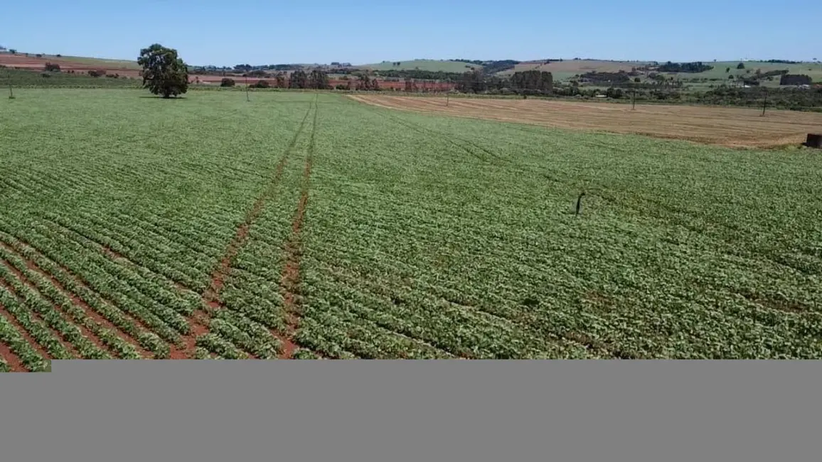 Foto 6 de Fazenda / Haras com 2 quartos à venda, 1210000m2 em Centro, Itai - SP