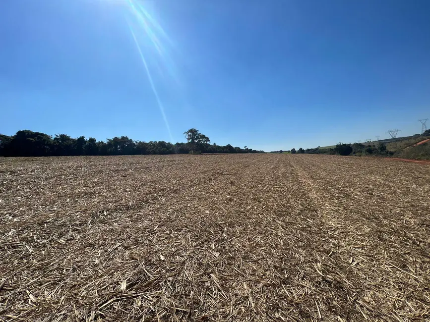 Foto 5 de Fazenda / Haras com 2 quartos à venda, 4525400m2 em Braz I, Avare - SP