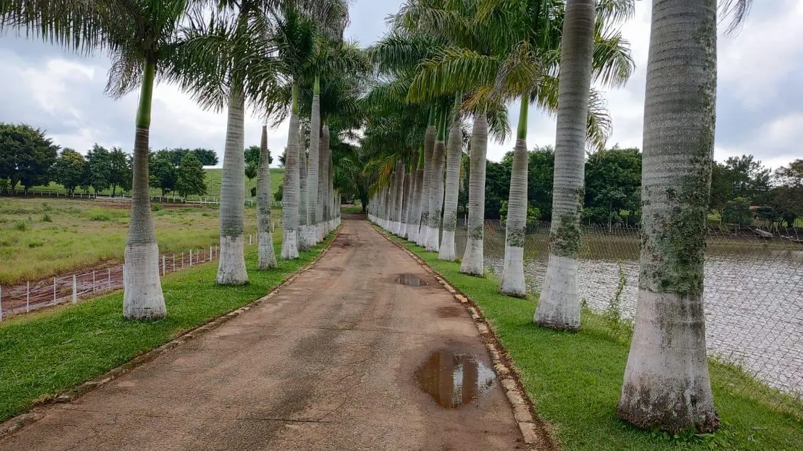 Foto 1 de Fazenda / Haras com 2 quartos à venda, 1234200m2 em Centro, Itapetininga - SP