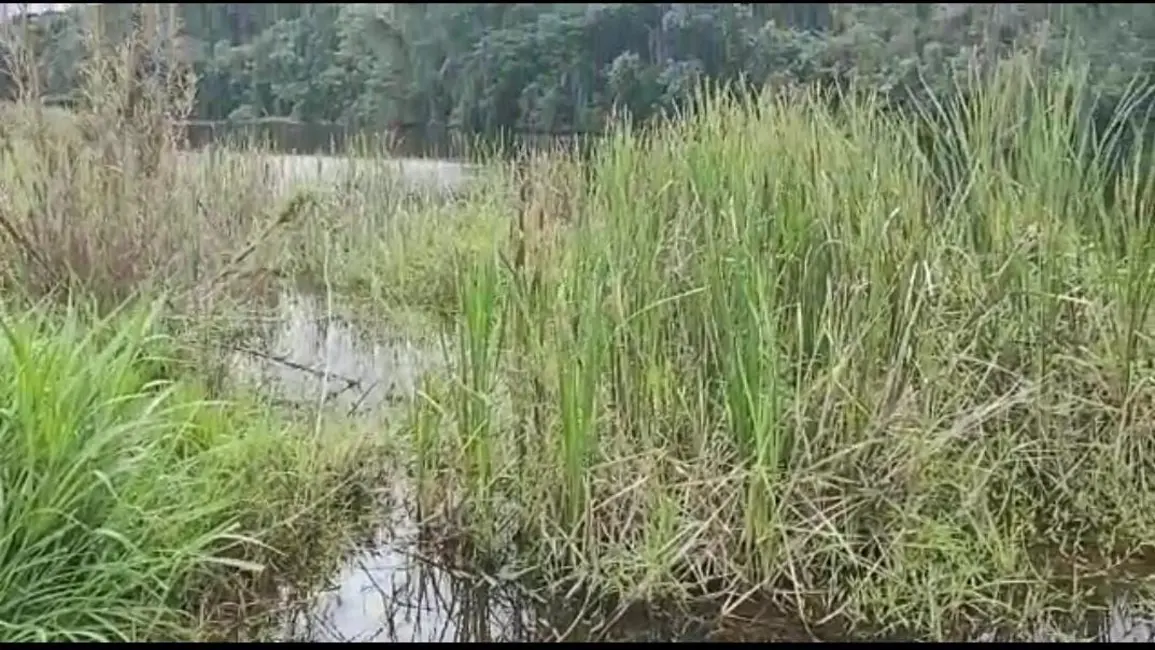 Foto 5 de Fazenda / Haras com 2 quartos à venda, 3509000m2 em Centro, Itapetininga - SP