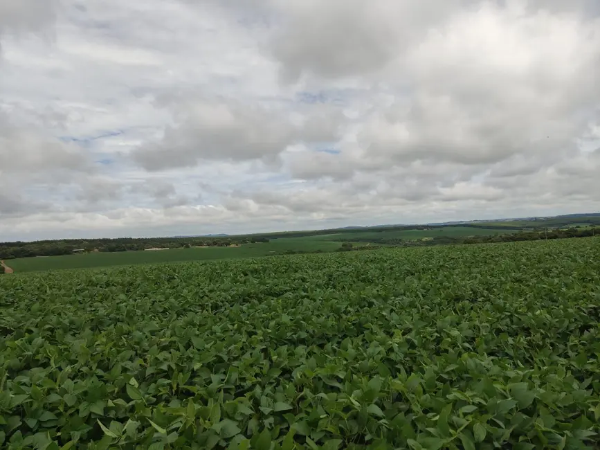 Foto 1 de Fazenda / Haras com 2 quartos à venda, 3509000m2 em Centro, Itapetininga - SP