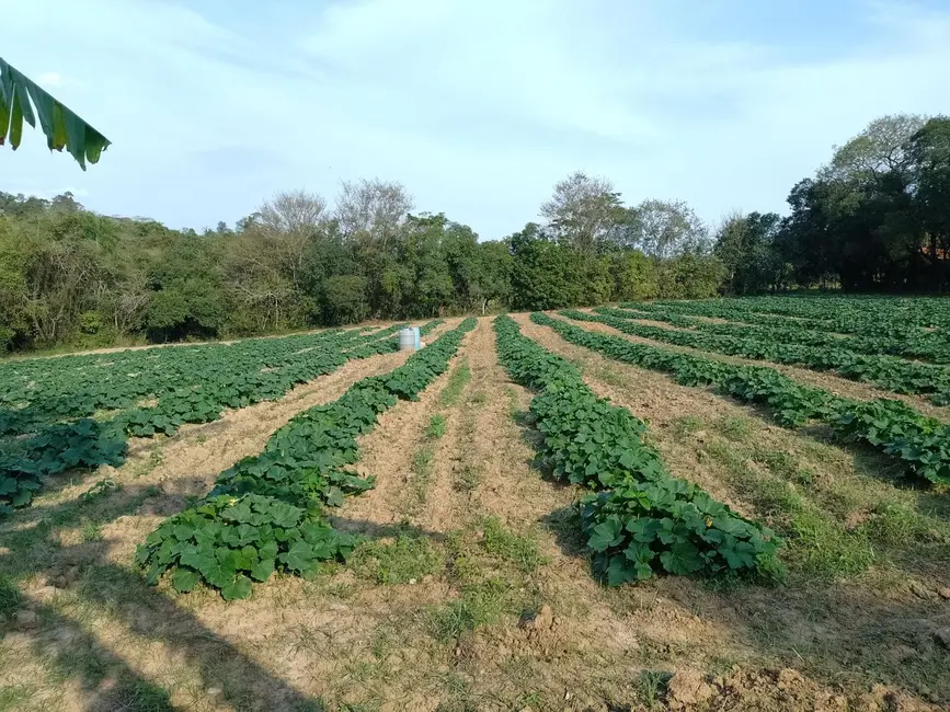 Foto 2 de Terreno / Lote à venda, 5000m2 em Tatui - SP