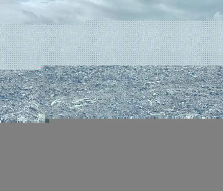 Foto 5 de Fazenda / Haras com 2 quartos à venda, 1972300m2 em Tiete - SP