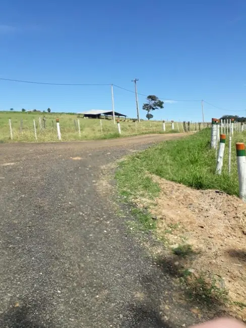 Fazenda / Haras com 2 quartos à venda, 3218600m2 em Centro, Itapetininga - SP - imagem 6 Foto 6 de Fazenda / Haras com 2 quartos à venda, 3218600m2 em Centro, Itapetininga - SP