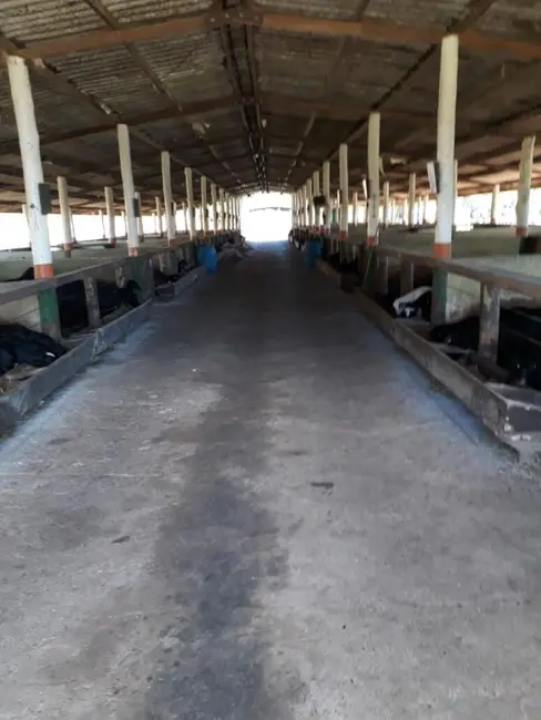 Fazenda / Haras com 2 quartos à venda, 3218600m2 em Centro, Itapetininga - SP - imagem 5 Foto 5 de Fazenda / Haras com 2 quartos à venda, 3218600m2 em Centro, Itapetininga - SP