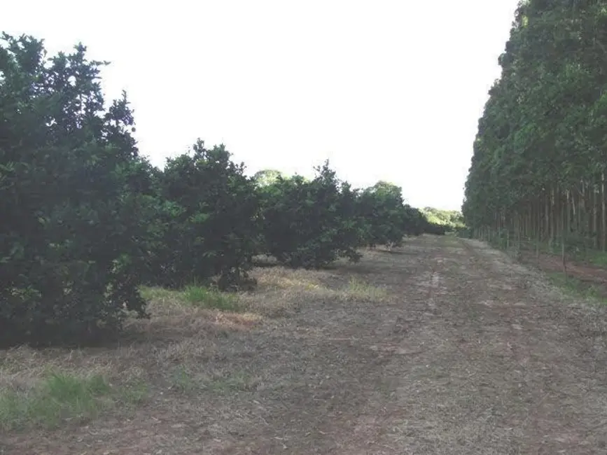 Foto 6 de Fazenda / Haras com 2 quartos à venda, 4114000m2 em Centro, Angatuba - SP