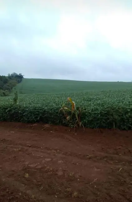 Foto 1 de Fazenda / Haras com 2 quartos à venda, 1185800m2 em Centro, Itapetininga - SP
