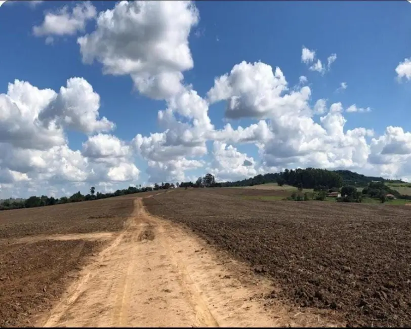 Fazenda / Haras com 2 quartos à venda, 1185800m2 em Centro, Itapetininga - SP - imagem 7 Foto 7 de Fazenda / Haras com 2 quartos à venda, 1185800m2 em Centro, Itapetininga - SP