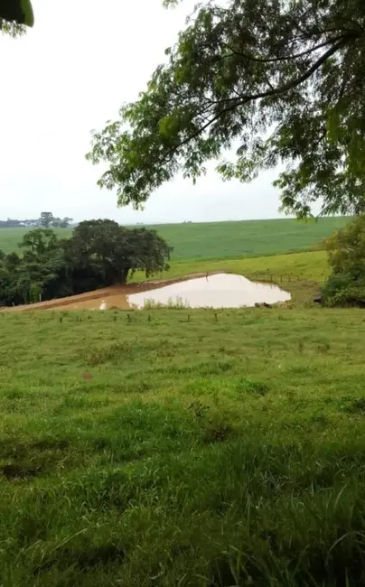 Fazenda / Haras com 2 quartos à venda, 1185800m2 em Centro, Itapetininga - SP - imagem 4 Foto 4 de Fazenda / Haras com 2 quartos à venda, 1185800m2 em Centro, Itapetininga - SP