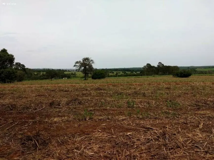 Foto 1 de Fazenda / Haras com 3 quartos à venda, 5566000m2 em Centro, Tatui - SP