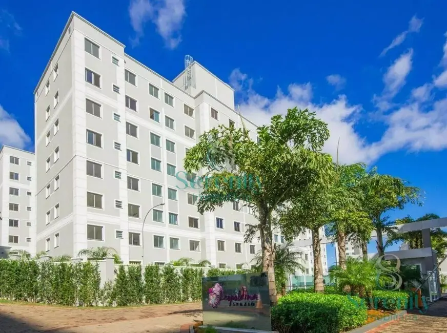 Foto 1 de Apartamento com 2 quartos à venda, 44m2 em Gleba Fazenda Palhano, Londrina - PR