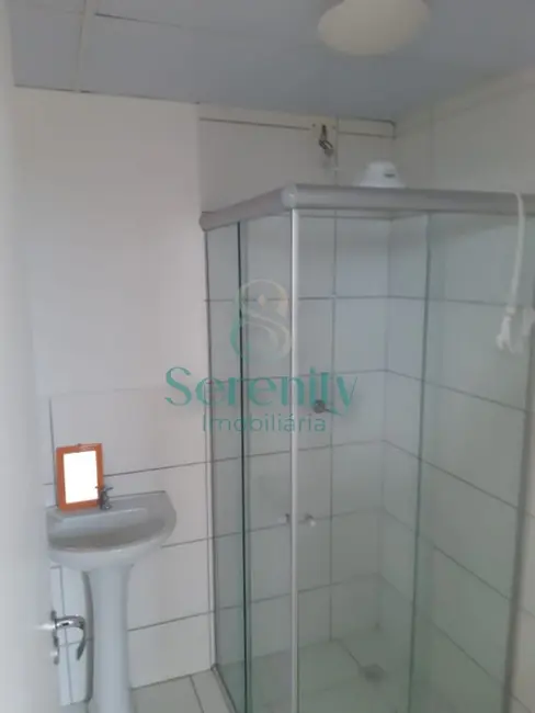 Apartamento com 2 quartos à venda, 44m2 em Gleba Fazenda Palhano, Londrina - PR - imagem 6 Foto 6 de Apartamento com 2 quartos à venda, 44m2 em Gleba Fazenda Palhano, Londrina - PR