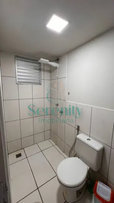 Foto 9 de Apartamento com 2 quartos para alugar, 61m2 em Jardim Jóquei Club, Londrina - PR