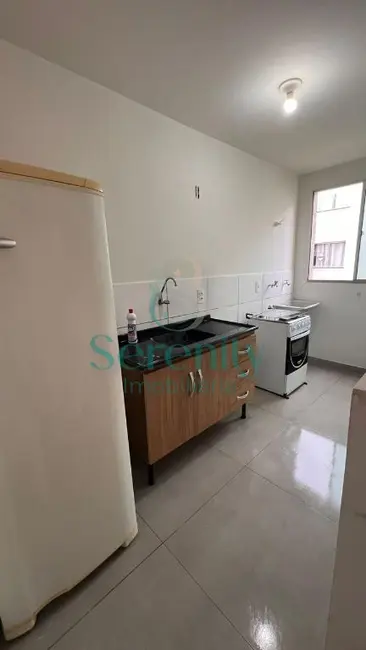 Foto 6 de Apartamento com 2 quartos para alugar, 61m2 em Jardim Jóquei Club, Londrina - PR