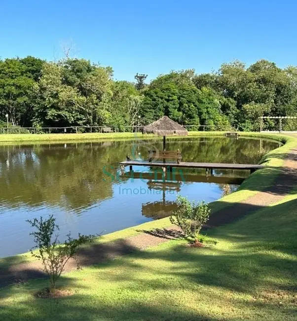 Foto 3 de Terreno / Lote à venda, 316m2 em Esperança, Londrina - PR