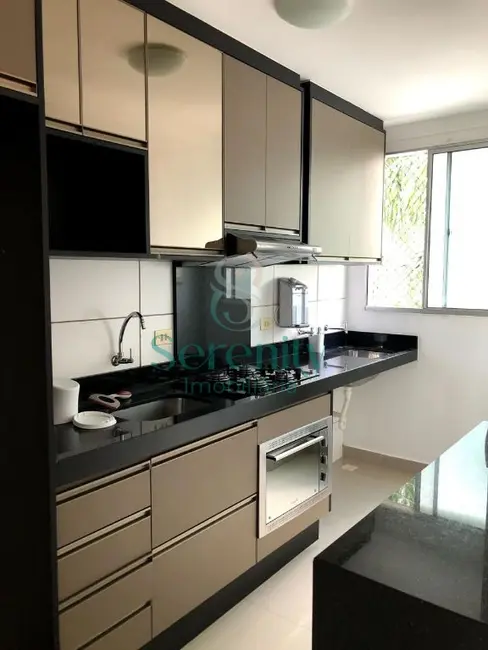 Foto 5 de Apartamento com 2 quartos para alugar, 44m2 em Gleba Fazenda Palhano, Londrina - PR