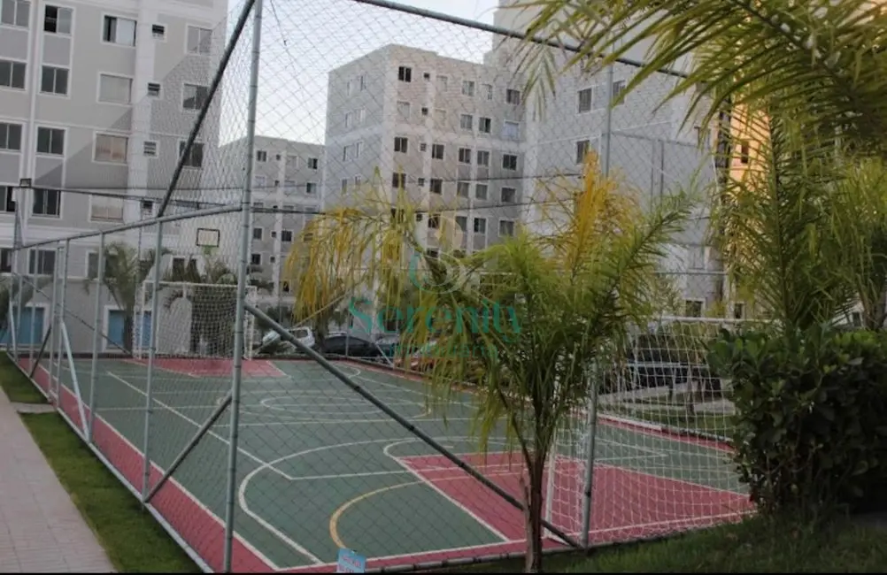 Apartamento com 2 quartos à venda, 44m2 em Gleba Fazenda Palhano, Londrina - PR - imagem 9 Foto 9 de Apartamento com 2 quartos à venda, 44m2 em Gleba Fazenda Palhano, Londrina - PR