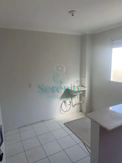 Foto 9 de Apartamento com 2 quartos à venda, 42m2 em Olímpico, Londrina - PR