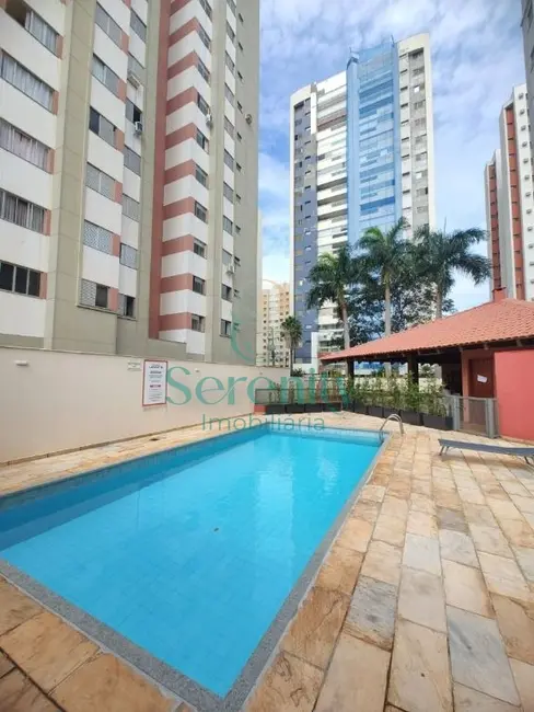 Foto 2 de Apartamento com 2 quartos para alugar, 47m2 em Judith, Londrina - PR
