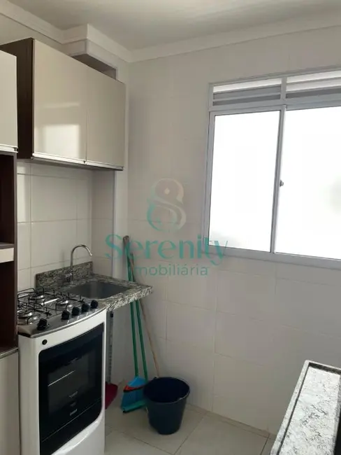 Foto 3 de Apartamento com 2 quartos para alugar, 41m2 em Londrina - PR