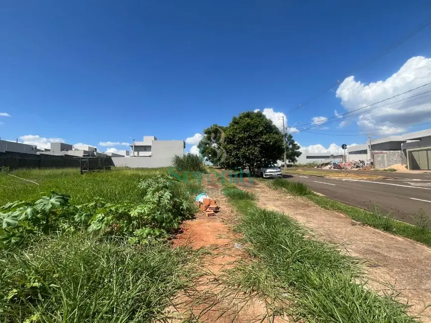 Foto 9 de Terreno / Lote à venda, 253m2 em Gleba Simon Frazer, Londrina - PR