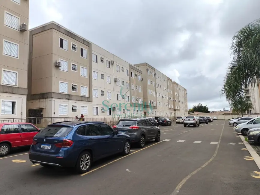 Apartamento com 2 quartos para alugar, 45m2 em Vila Salomé, Cambe - PR - imagem 7 Foto 7 de Apartamento com 2 quartos para alugar, 45m2 em Vila Salomé, Cambe - PR