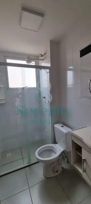 Foto 9 de Apartamento com 2 quartos para alugar, 43m2 em Londrina - PR