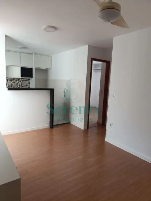 Apartamento com 2 quartos à venda, 40m2 em Cambe - PR - imagem 3 Foto 3 de Apartamento com 2 quartos à venda, 40m2 em Cambe - PR