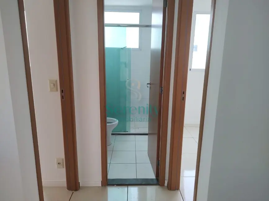 Apartamento com 2 quartos para alugar, 41m2 em Olímpico, Londrina - PR - imagem 8 Foto 8 de Apartamento com 2 quartos para alugar, 41m2 em Olímpico, Londrina - PR