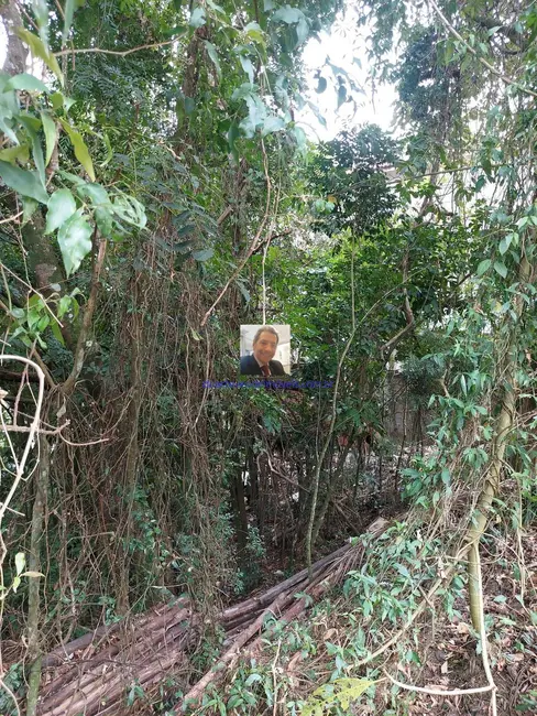 Foto 5 de Lote de Condomínio à venda, 384m2 em Jardim Atalaia, Cotia - SP