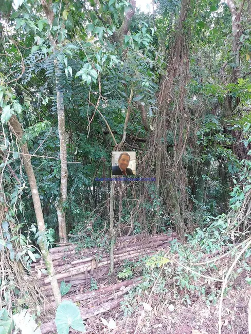 Foto 4 de Lote de Condomínio à venda, 384m2 em Jardim Atalaia, Cotia - SP