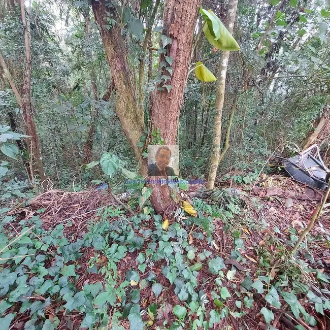 Foto 4 de Terreno / Lote à venda, 400m2 em Jardim Atalaia, Cotia - SP
