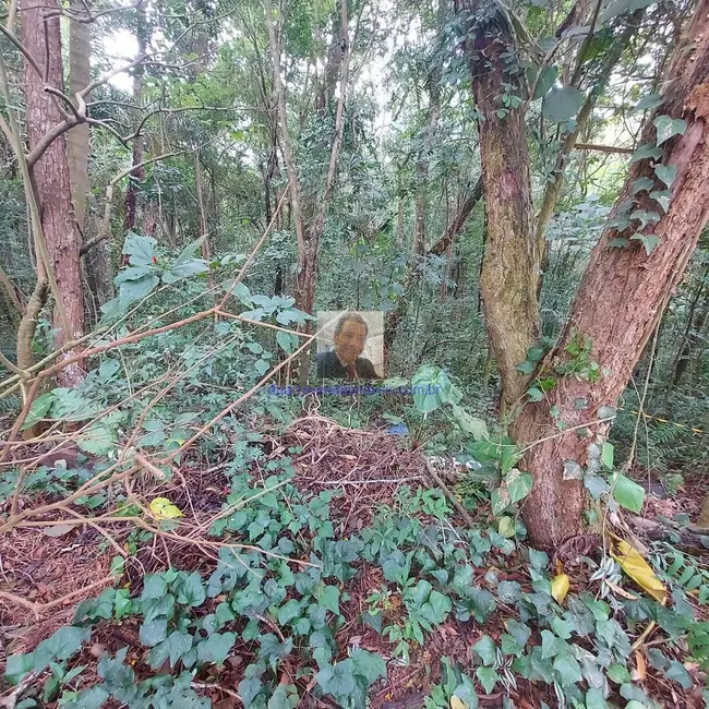 Foto 5 de Terreno / Lote à venda, 400m2 em Jardim Atalaia, Cotia - SP