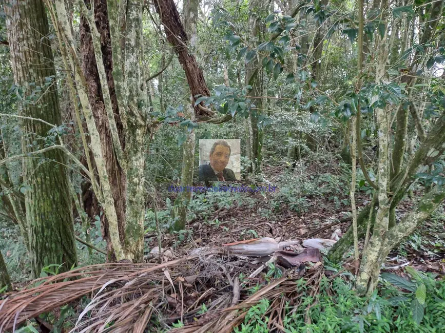 Foto 9 de Lote de Condomínio à venda, 480m2 em Jardim Atalaia, Cotia - SP