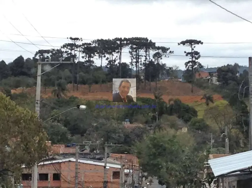 Foto 3 de Terreno / Lote à venda, 2743m2 em Jardim Sandra, Cotia - SP