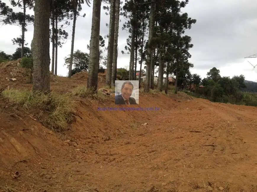 Foto 2 de Terreno / Lote à venda, 2743m2 em Jardim Sandra, Cotia - SP
