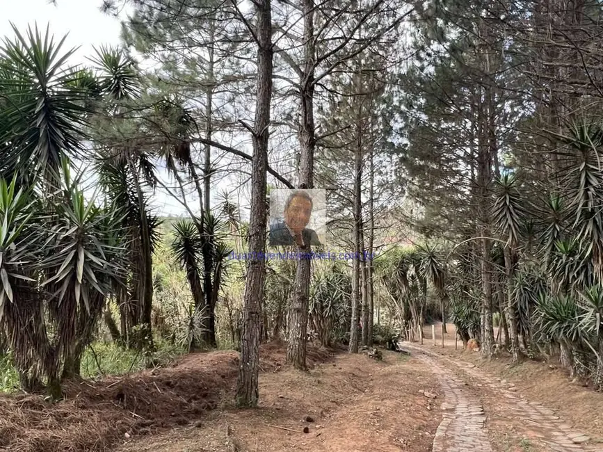 Foto 7 de Terreno / Lote à venda, 18455m2 em Taboleiro Verde, Cotia - SP