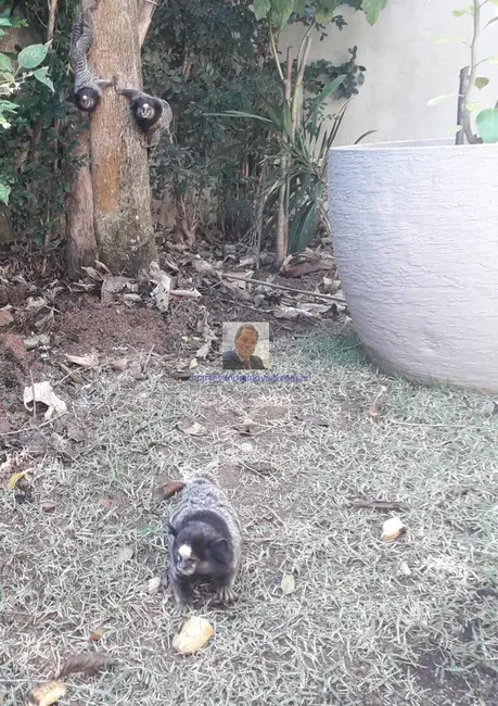 Foto 2 de Casa com 3 quartos à venda, 273m2 em Jardim Atalaia, Cotia - SP