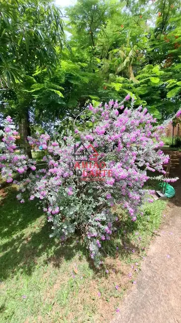 Foto 7 de Chácara com 4 quartos à venda, 432m2 em Centro, Boituva - SP