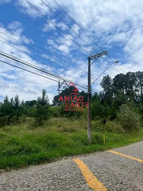 Foto 7 de Lote de Condomínio à venda, 4973m2 em Paisagem Renoir, Cotia - SP