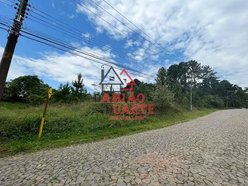 Foto 6 de Lote de Condomínio à venda, 4973m2 em Paisagem Renoir, Cotia - SP