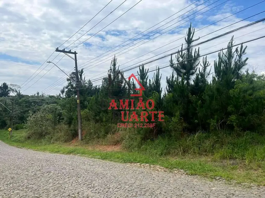 Foto 3 de Lote de Condomínio à venda, 4973m2 em Paisagem Renoir, Cotia - SP