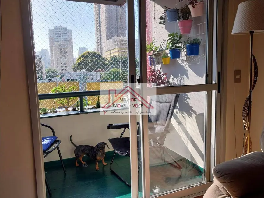 Apartamento com 3 quartos à venda, 81m2 em Perdizes, São Paulo - SP - imagem 4 Foto 4 de Apartamento com 3 quartos à venda, 81m2 em Perdizes, São Paulo - SP
