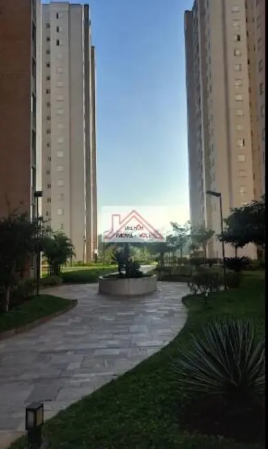 Foto 5 de Apartamento com 3 quartos para alugar, 70m2 em Usina Piratininga, São Paulo - SP