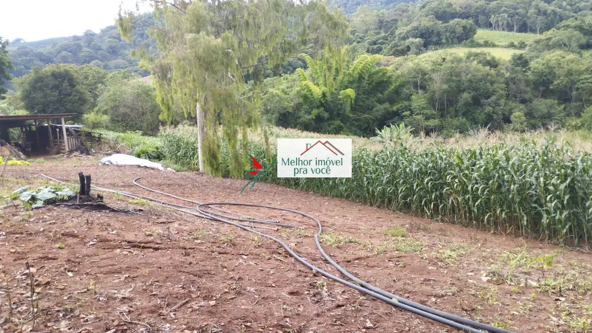 Foto 7 de Chácara com 2 quartos à venda, 16500m2 em Campestre - MG