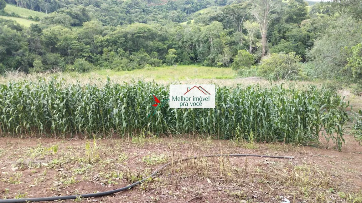 Foto 6 de Chácara com 2 quartos à venda, 16500m2 em Campestre - MG
