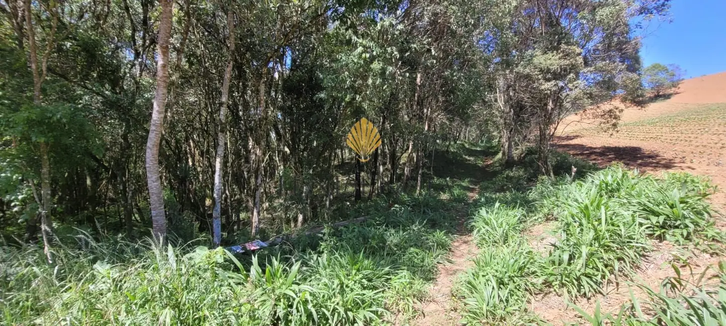 Chácara com 1 quarto à venda, 70153m2 em Sao Jose Dos Pinhais - PR - imagem 5 Foto 5 de Chácara com 1 quarto à venda, 70153m2 em Sao Jose Dos Pinhais - PR