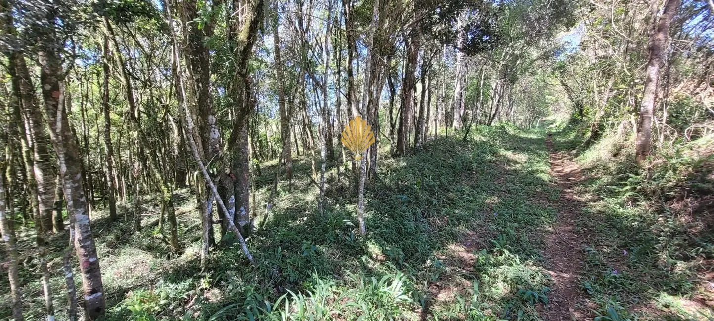 Chácara com 1 quarto à venda, 70153m2 em Sao Jose Dos Pinhais - PR - imagem 1 Foto 1 de Chácara com 1 quarto à venda, 70153m2 em Sao Jose Dos Pinhais - PR