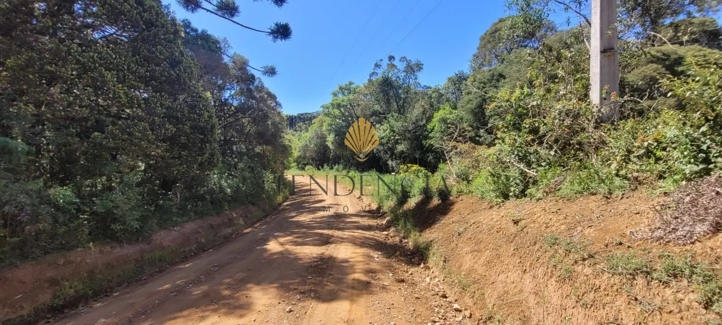 Chácara com 1 quarto à venda, 70153m2 em Sao Jose Dos Pinhais - PR - imagem 8 Foto 8 de Chácara com 1 quarto à venda, 70153m2 em Sao Jose Dos Pinhais - PR